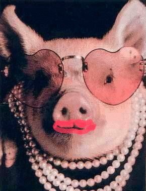 The MSN Messenger kissing pig