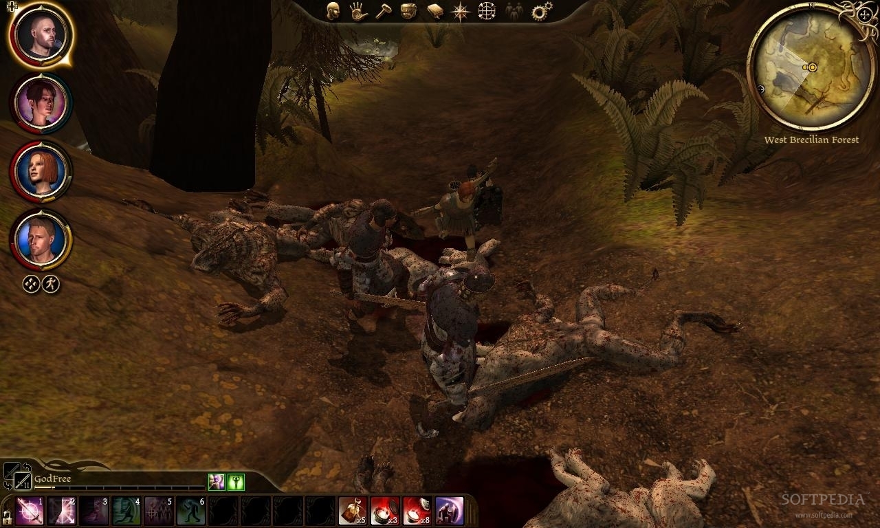 Dragon Age: Origins Review - Dragon Age Is A Different Beast On