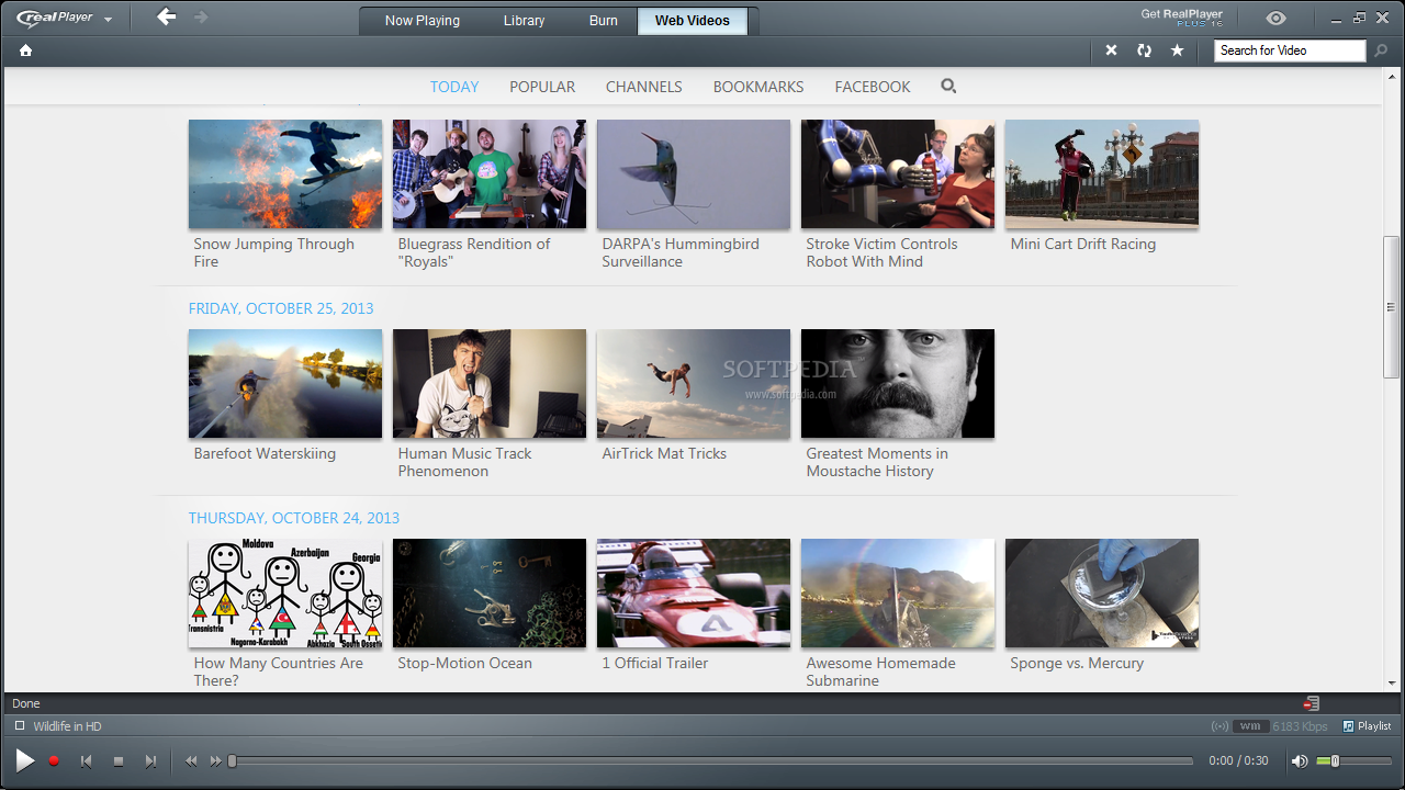 realplayer video downloader review